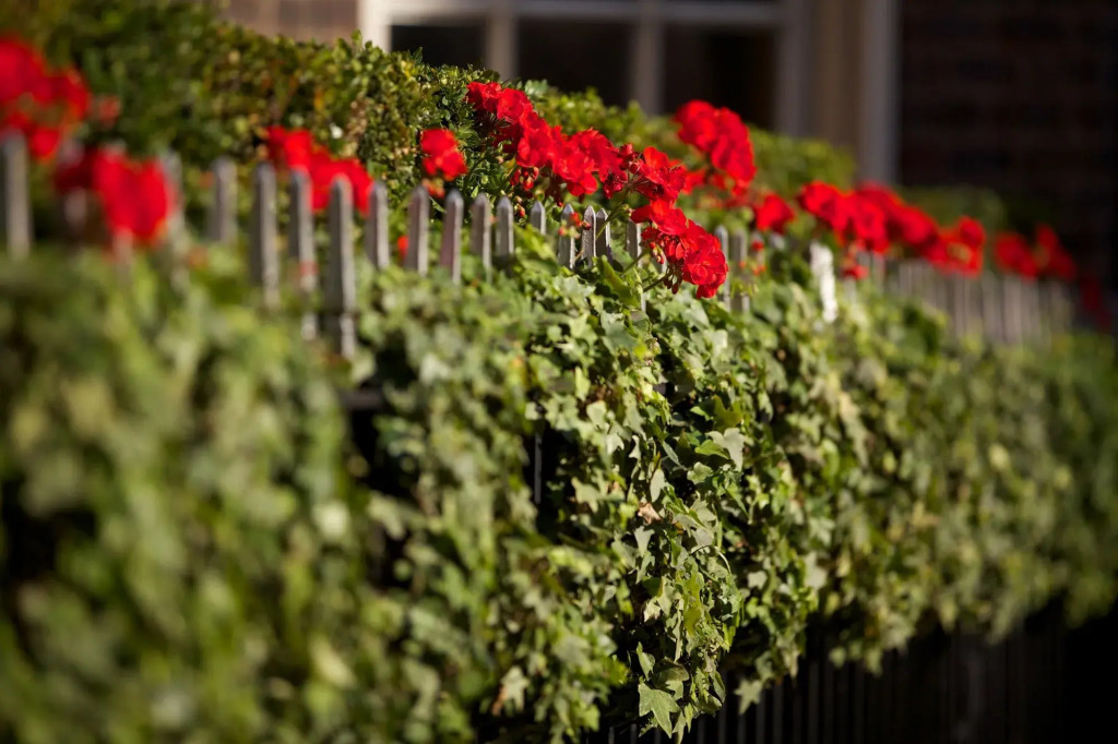 The Chesterfield Mayfair