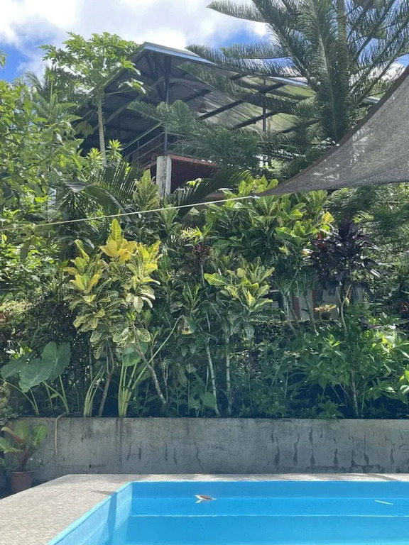 The Twin Studio Cottages