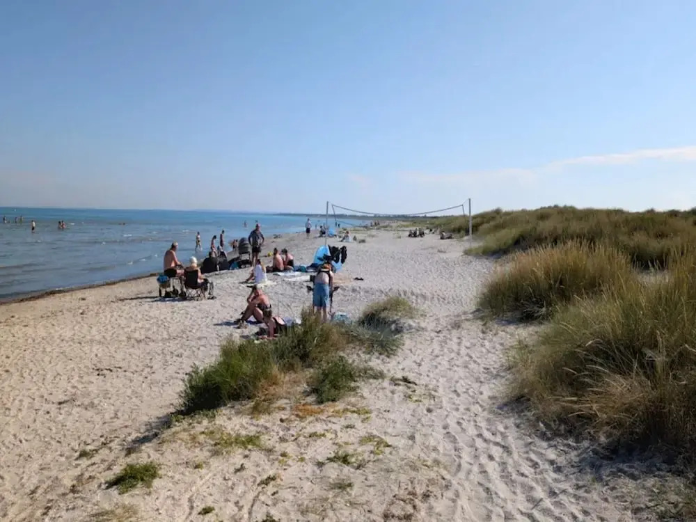10 Person Holiday Home in Albaek