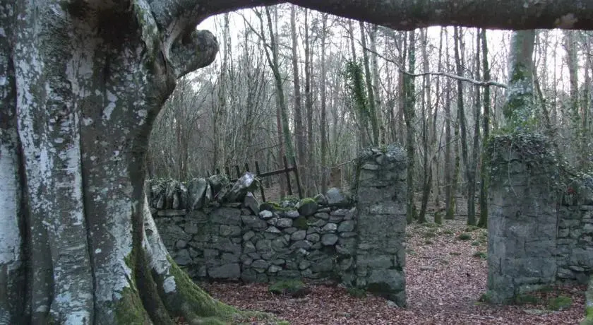 Oak Lodge