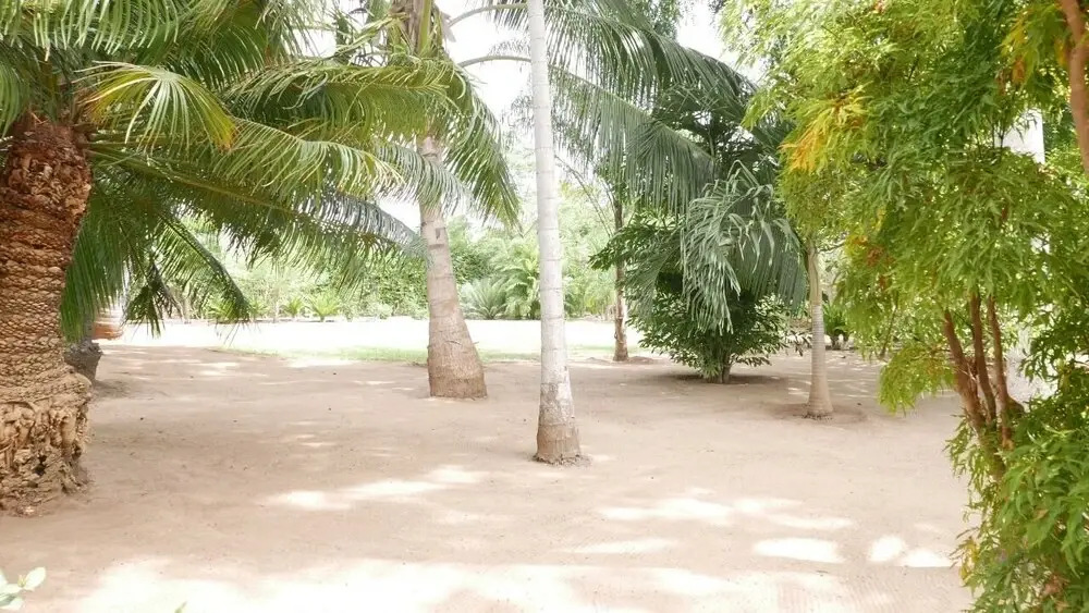 Maembe House