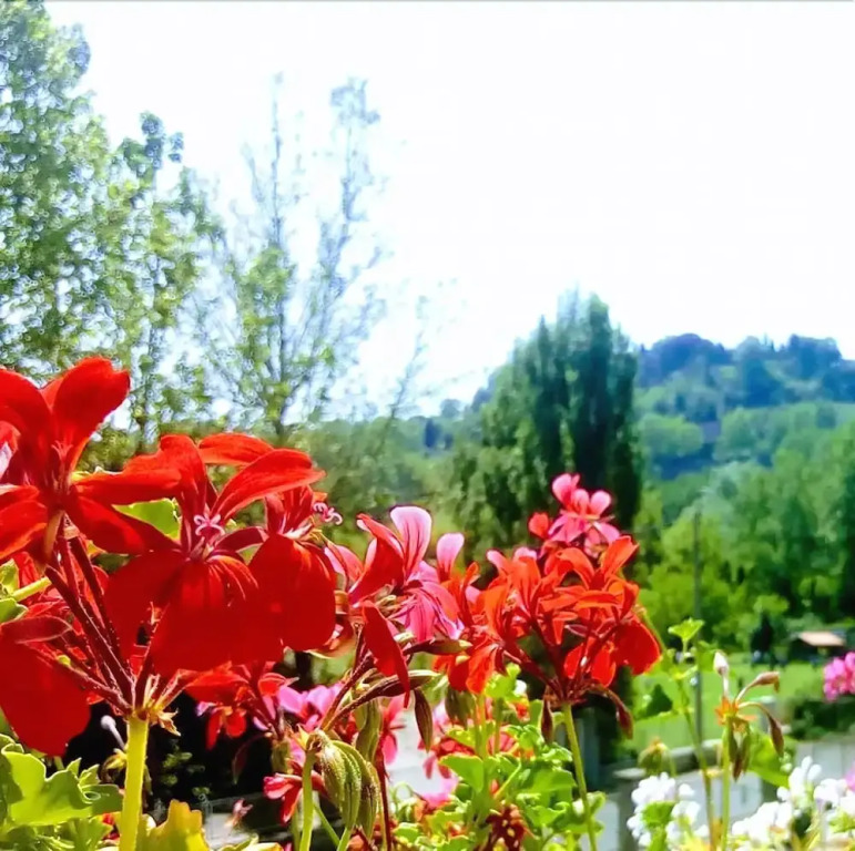 Casa dei Fiori