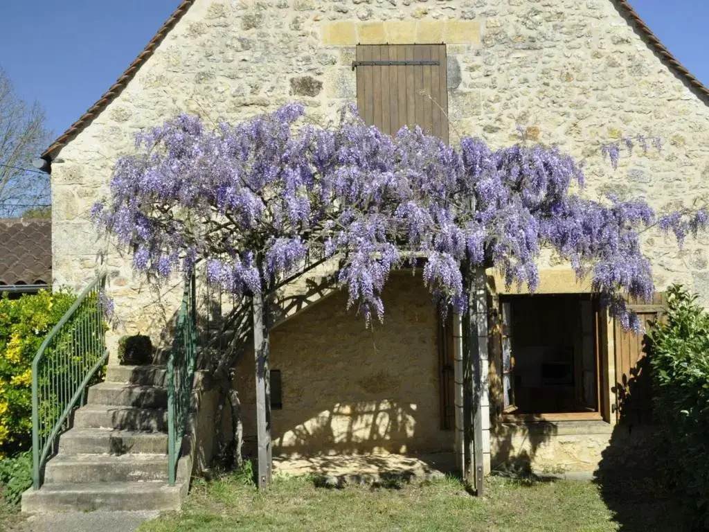 Maison périgourdine avec piscine et wifi, animaux admis, près de Domme - FR-1-616-77