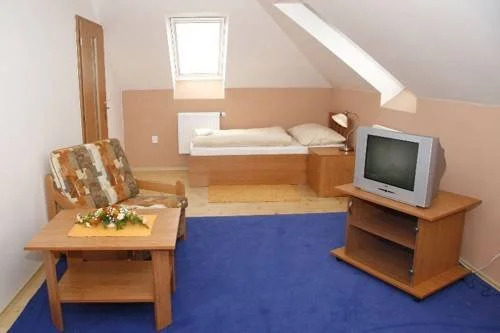 Hotel Allvet