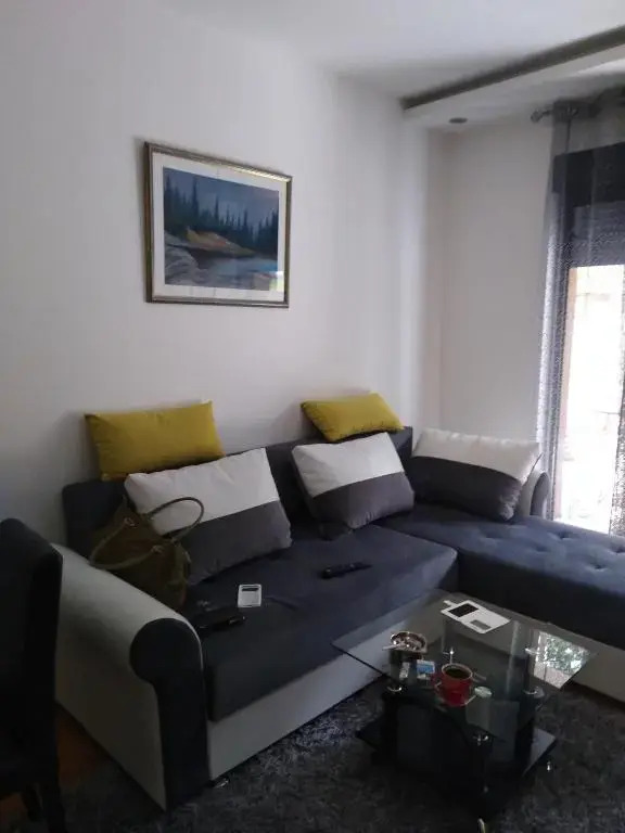 Vila Pekovic Apartman P8