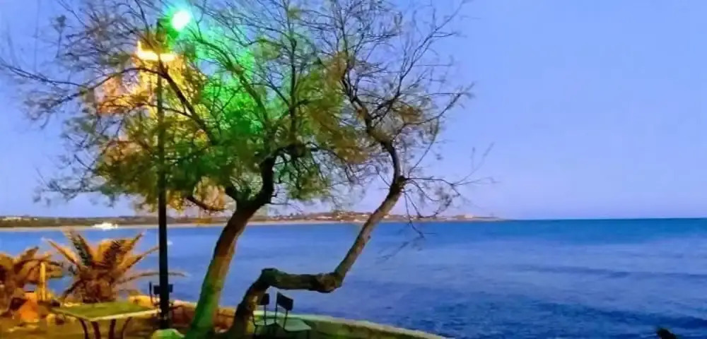 Nido Azzurro