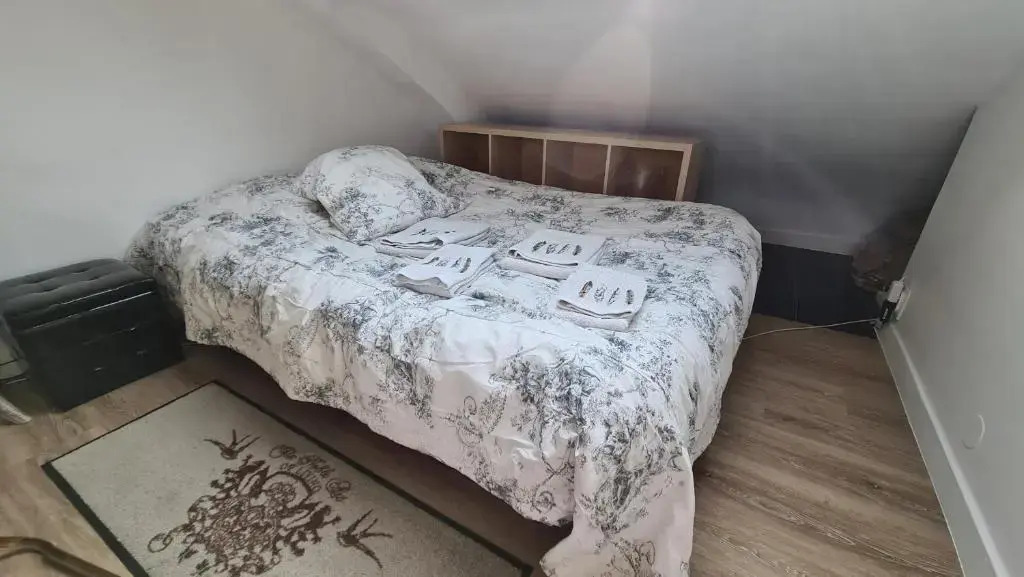 Appartement Cœur de Paris avec vue sur les toits