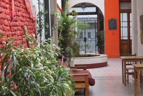 Terranova Hostel