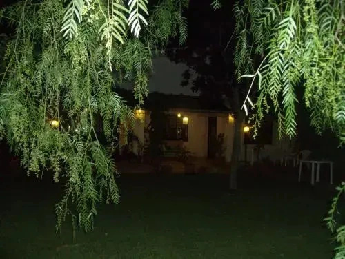 Lalbero Del Pepe