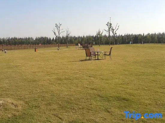 Mingzhu Lake Swan Garden Resort