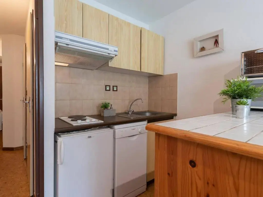 Appartement près télécabine, animaux admis, parking inclus pour 4 personnes à Vielle Aure - FR-1-296-206