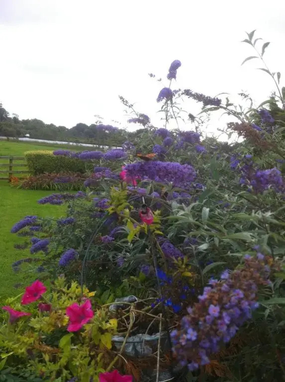 River Edge B&B