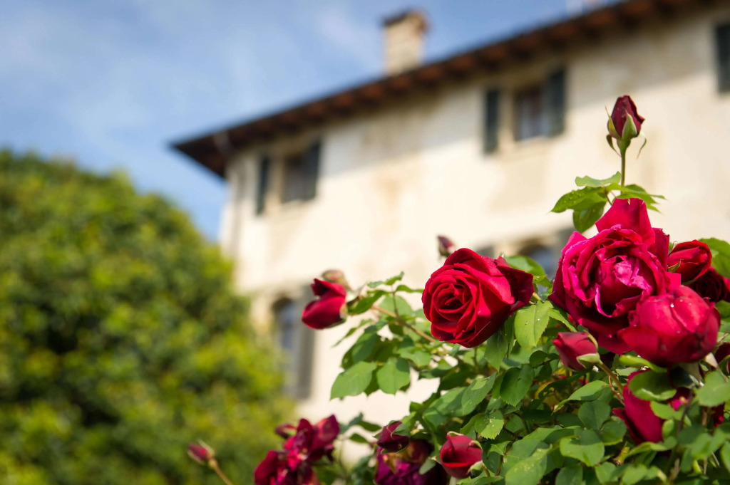 Hotel Villa Cipriani
