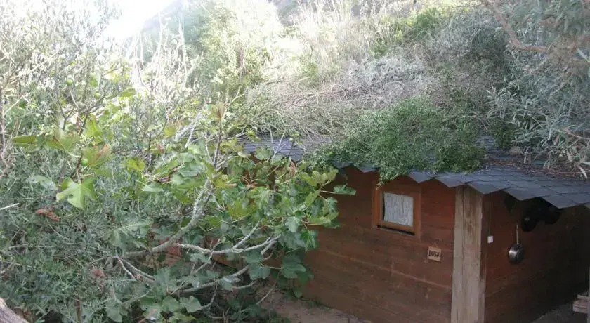 Surf N Sand Hostel