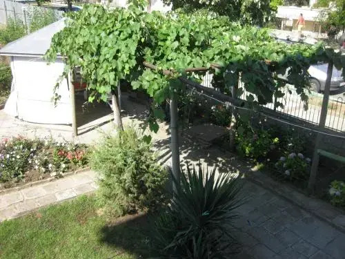 Rosi Guest House