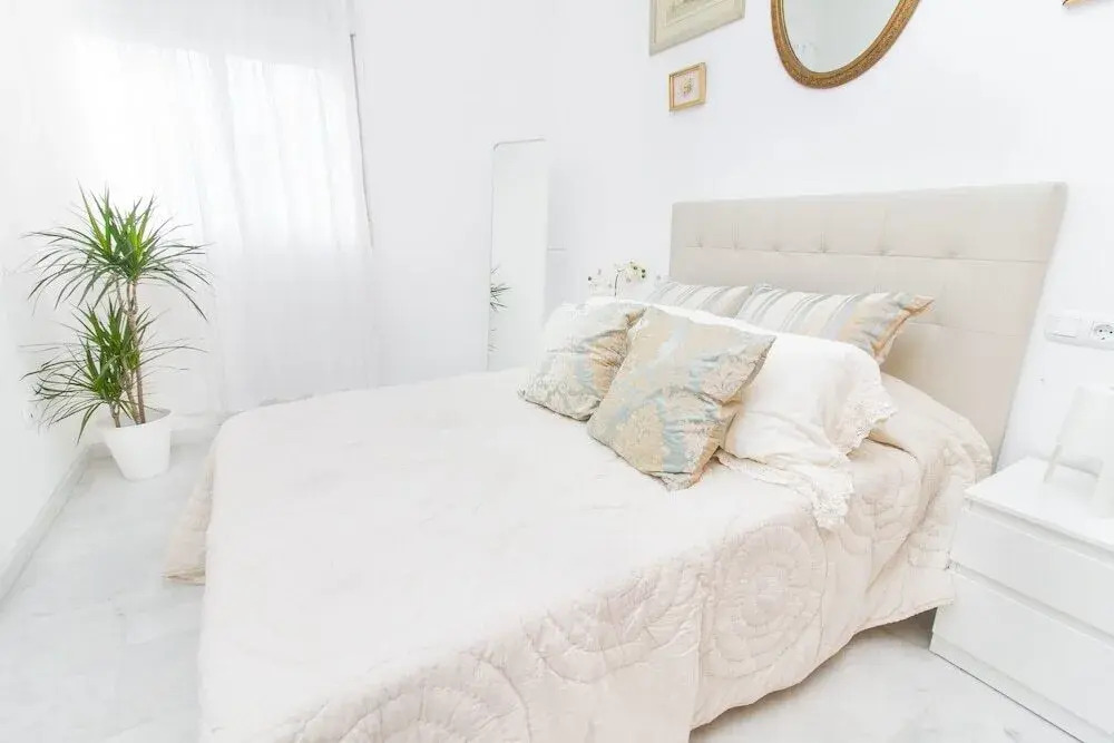 Cool 1 Bedroom Apartment Capuchinos
