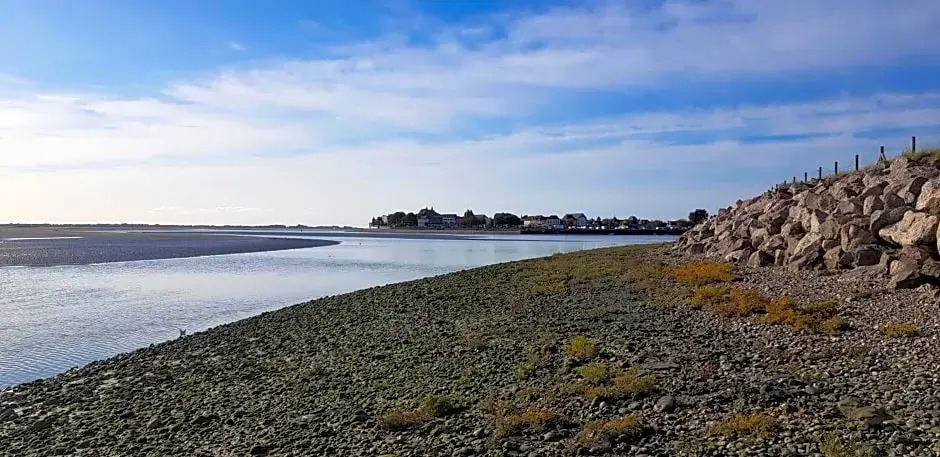 BAIE DE SOMME - Le pourquoi pas