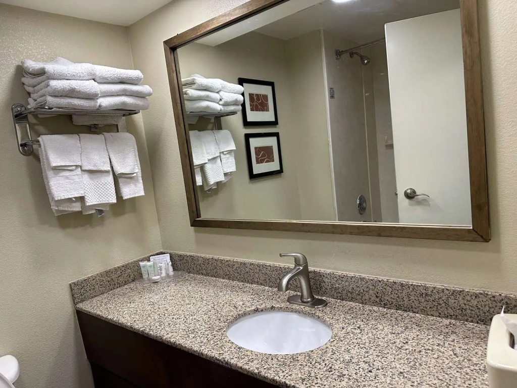 Vista Suites Near Island and Leconte Convention Center