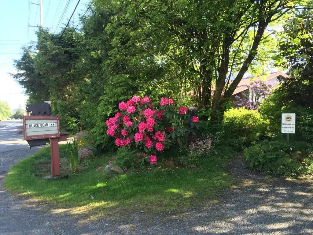 Black Bear Inn