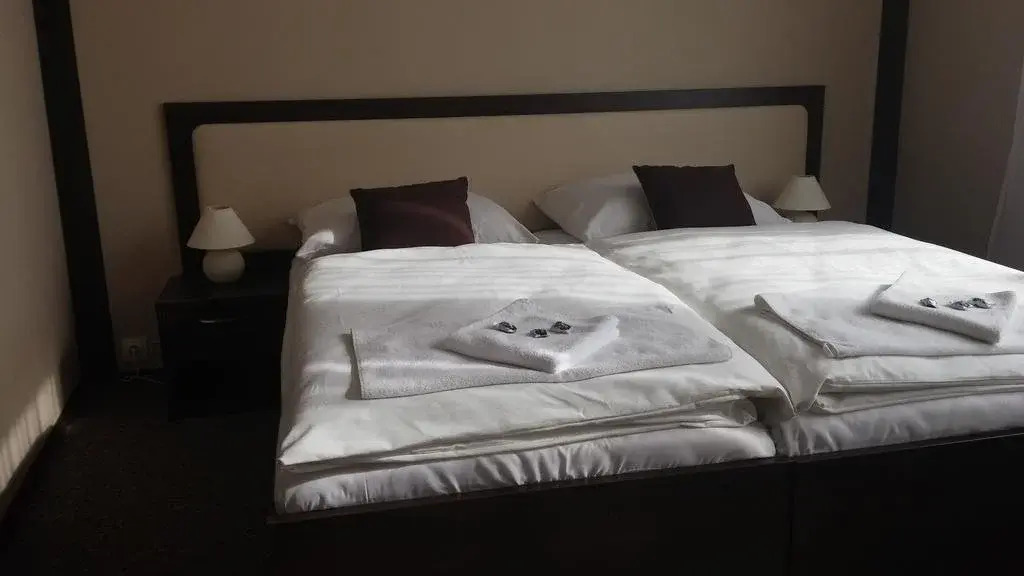 Hotel Venec