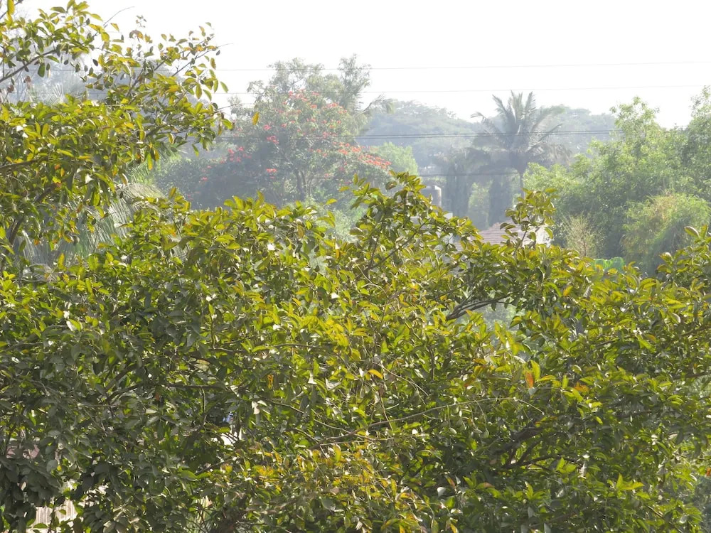 City Palace Resort
