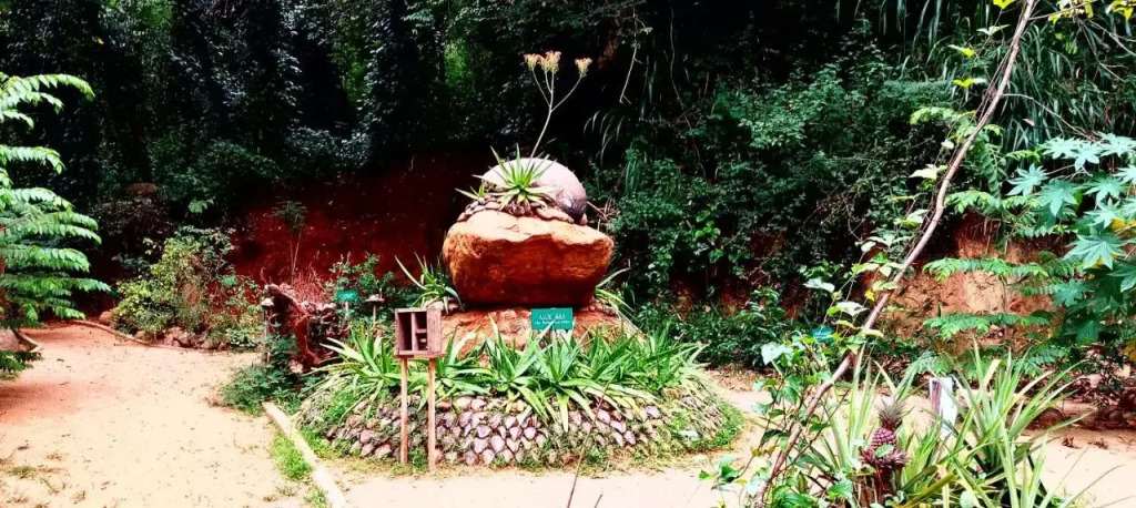 Ella Nature Park Resort