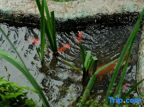 Xuanlan Xiaozhu Holiday Hostel