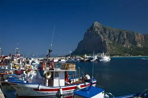 Rosaura