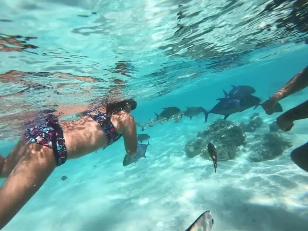 Fare Club - Moorea