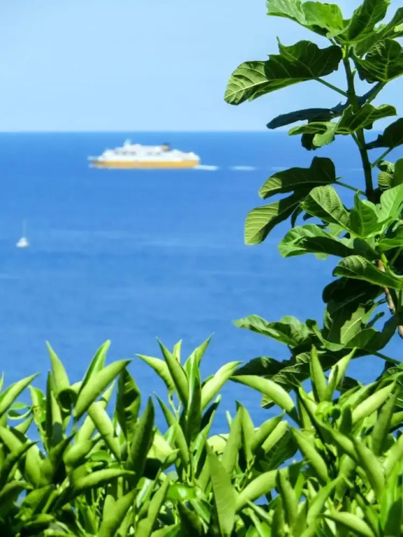 House With 2 Bedrooms in Ville-di-pietrabugno, With Wonderful sea View