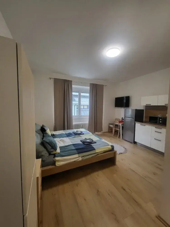 City Center Apartments - Moderna Brno Římské náměstí III
