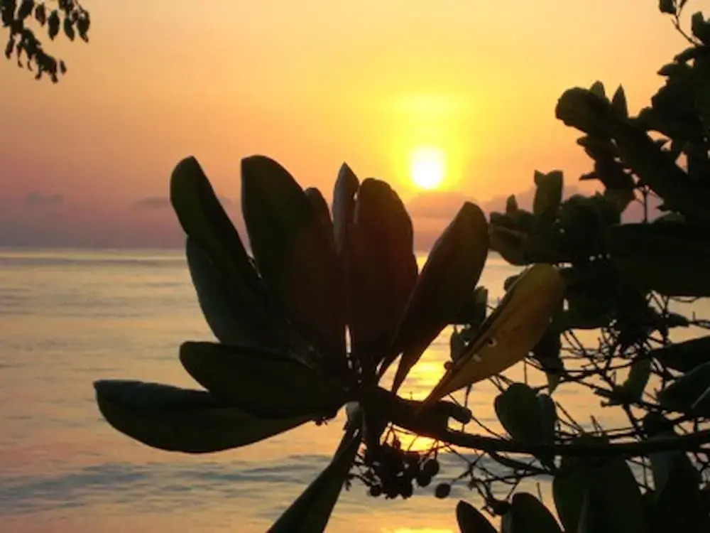 Tejakula Ocean Beach House2bd2baacbreakfast