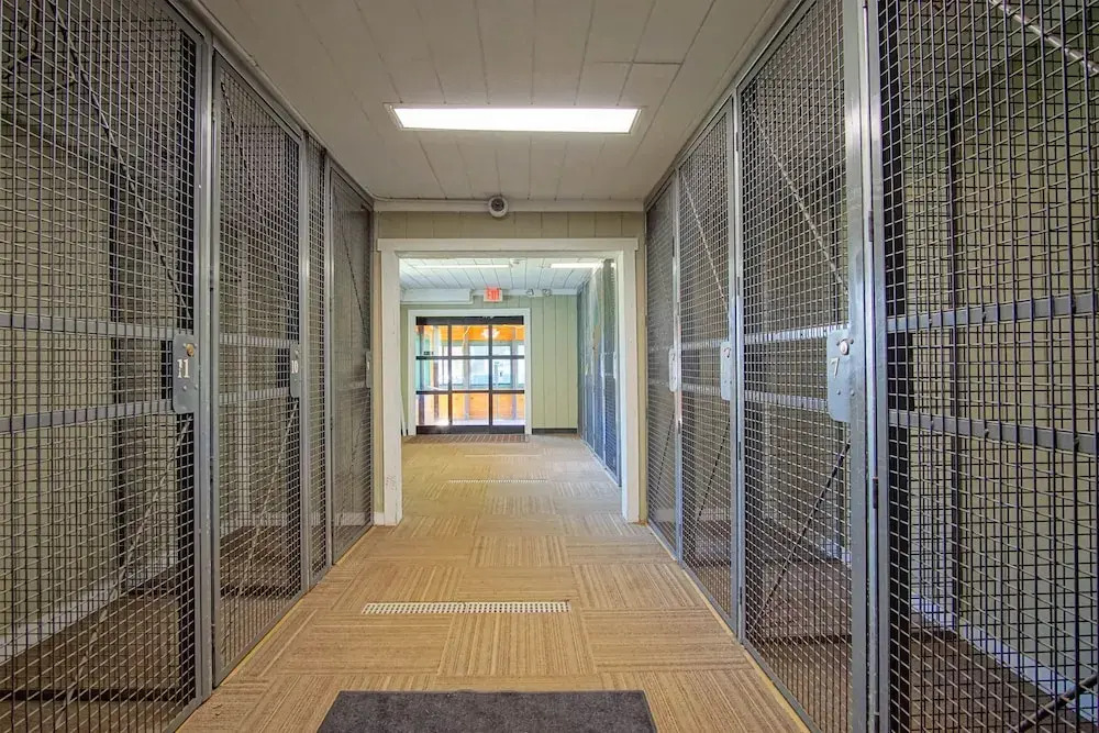 Mountain Lodge 233 2 Br Condo With Access to Ball Hooter Lift