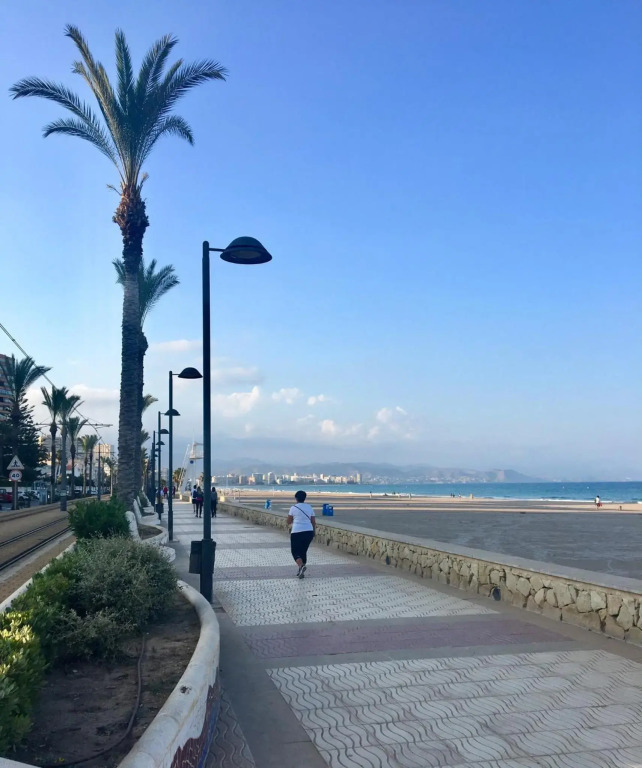 Playa Muchavista lovely ground floor apartment
