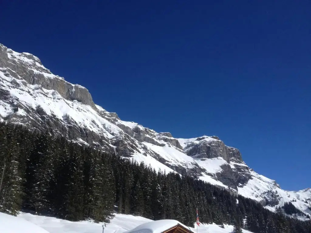 Appartment Chalet Sonnenheim