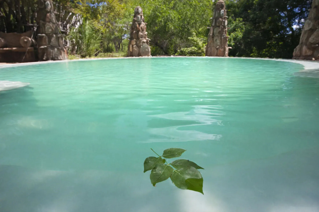 aha Makalali Private Game Lodge