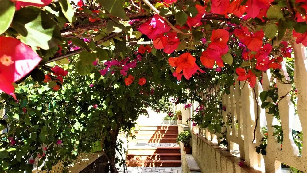 Welcomely - Cristoforo Colombo 13 - Cala Gonone