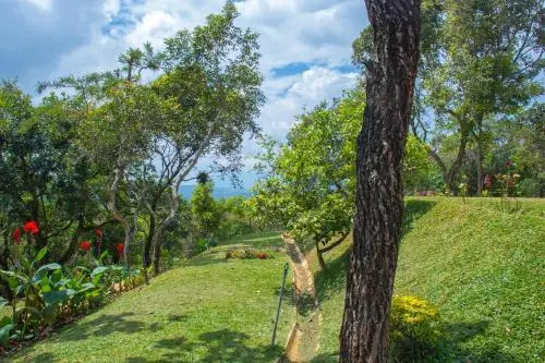 Windy Hills Glamping