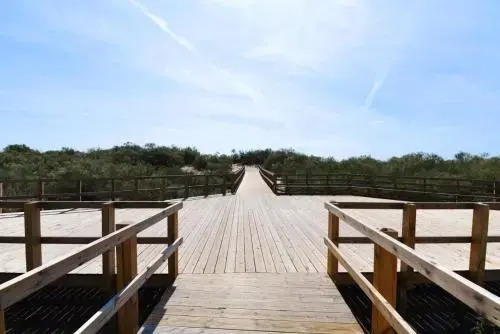 Praia da Lota Resort - Apartments