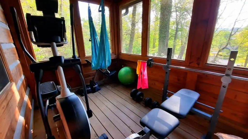 The Mountain Forager Cabin, Whitewater Rafting, Polar Express, Hot Tub, Home Gym