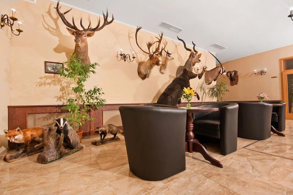 Spa Hotel Diana