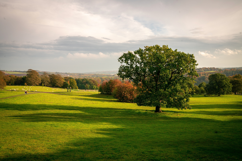 Holiday Inn Express Leeds-East by IHG