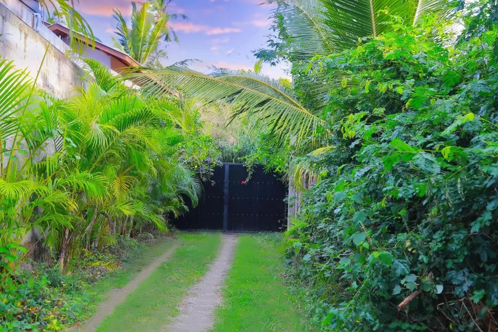 Eagle Homestay
