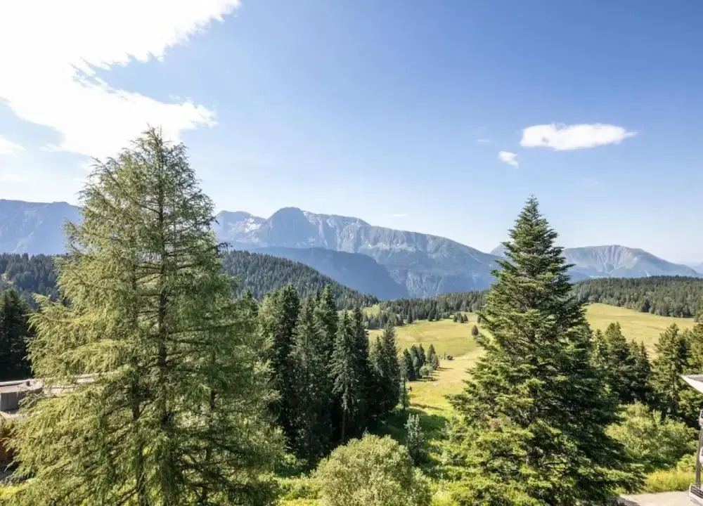 Mountain Escape for 4 Guests