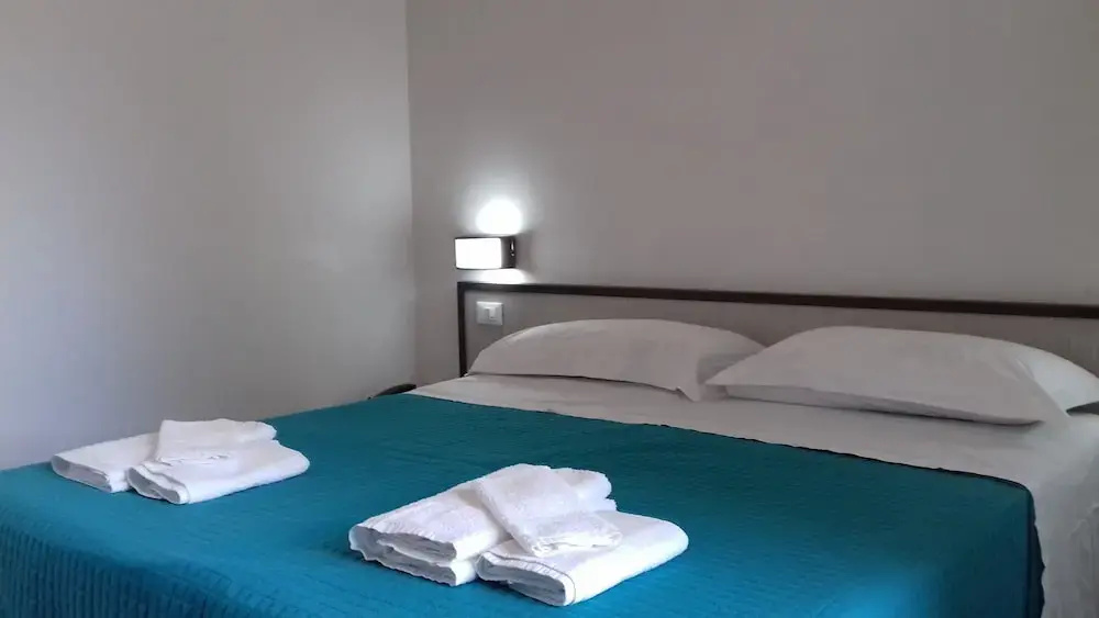 Hotel Vicario