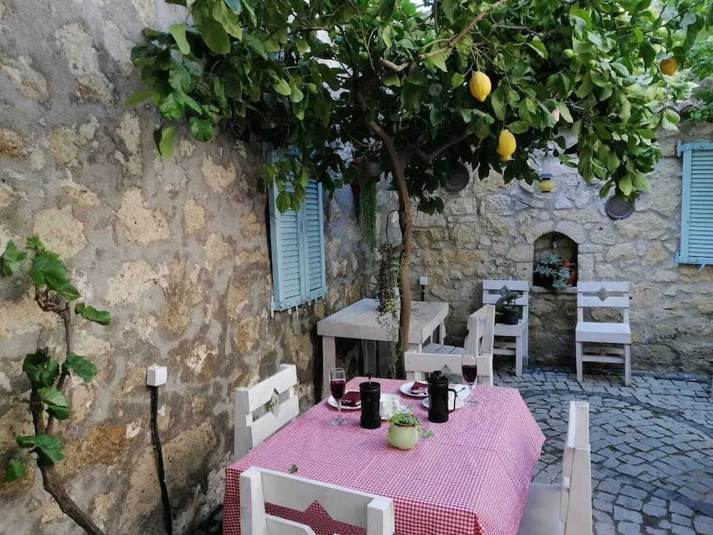 kaktüshan otel