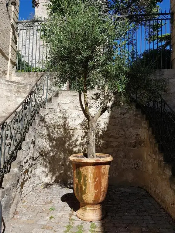 Appartement Dans Hotel De Flaux