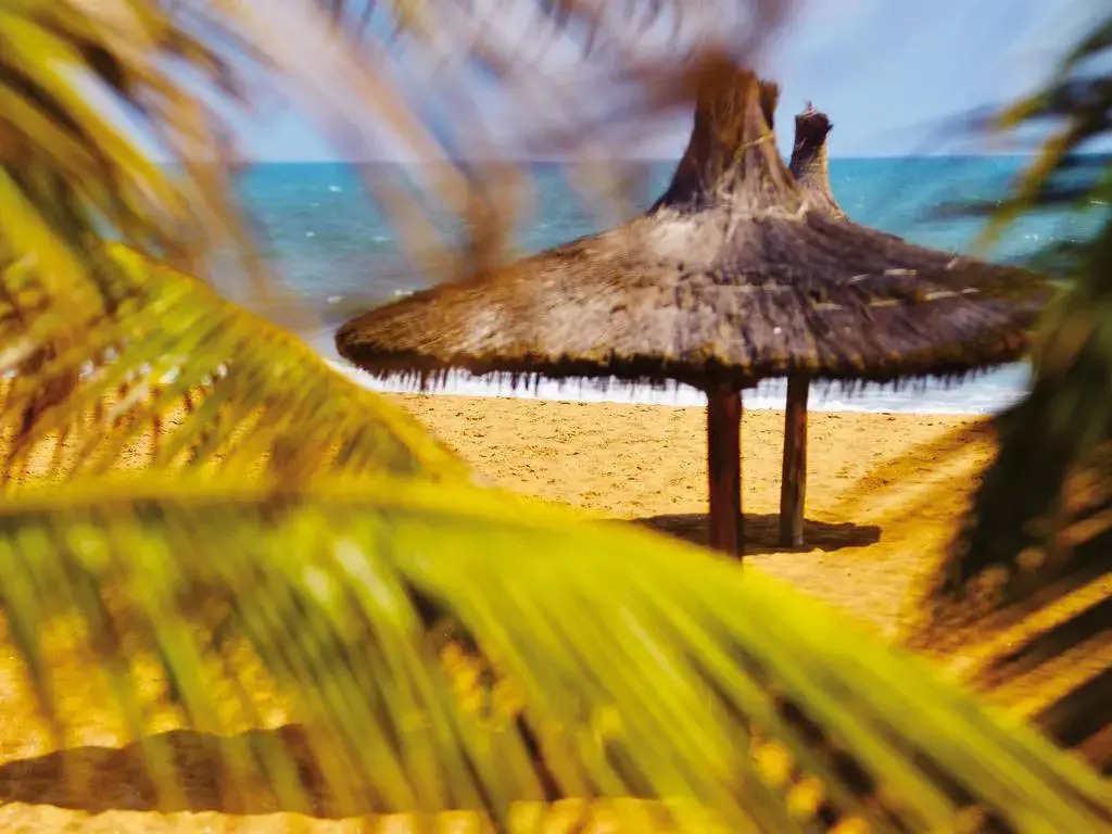 Casa Del Papa Resort