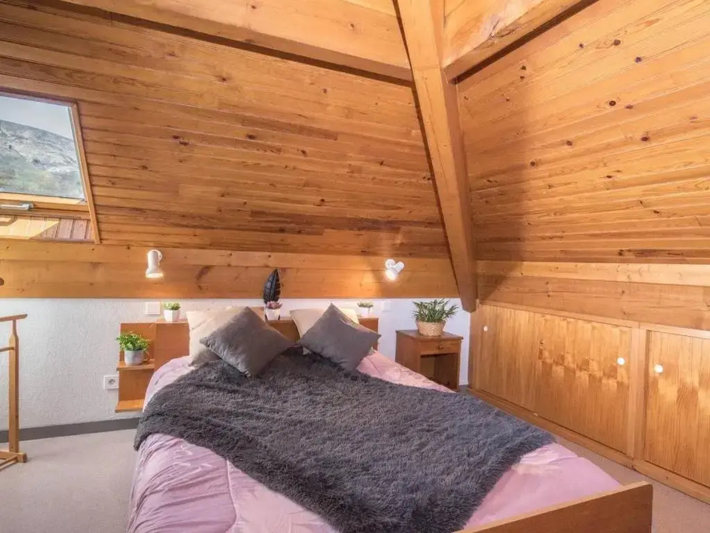 Appartement Saint-Lary-Soulan, 2 pièces, 4 personnes - FR-1-296-249