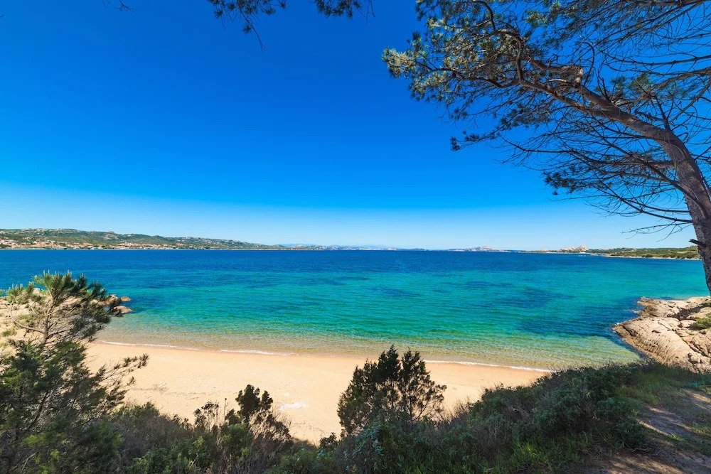 Baia Bianca Apartments Sardinia